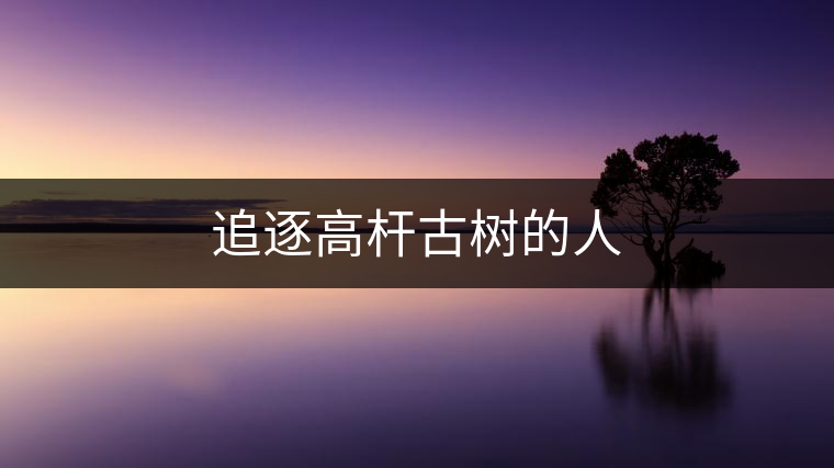 追逐高桿古樹(shù)的人