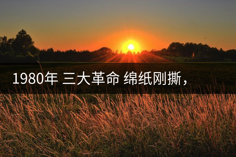 1980年 三大革命 綿紙剛撕，品相極好，整體干凈漂亮1980年 三大革命 綿紙剛撕，品相極好，整體干凈漂亮