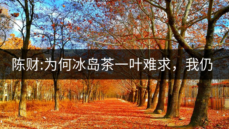 陳財:為何冰島茶一葉難求，我仍然堅持