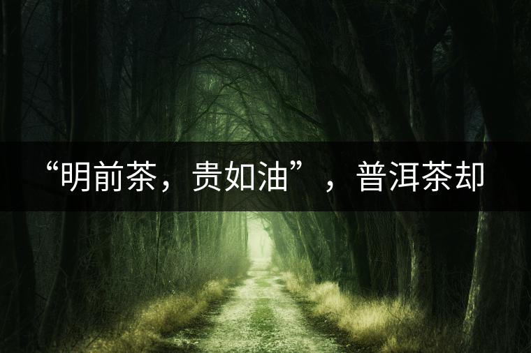 “明前茶，貴如油”，普洱茶卻不這么認為“明前茶，貴如油”，普洱茶卻不這么認為