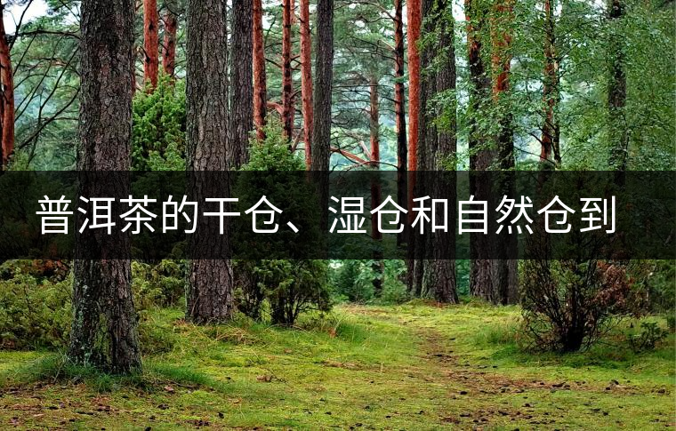 普洱茶的干倉(cāng)、濕倉(cāng)和自然倉(cāng)到底是什么鬼?普洱茶的干倉(cāng)、濕倉(cāng)和自然倉(cāng)到底是什么鬼？