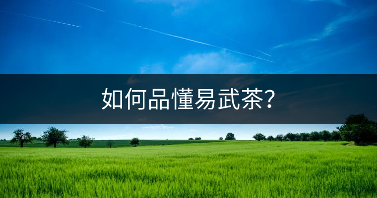 如何品懂易武茶？