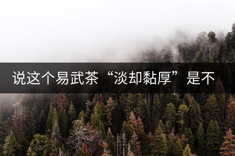 說(shuō)這個(gè)易武茶“淡卻黏厚”是不是說(shuō)胡話？