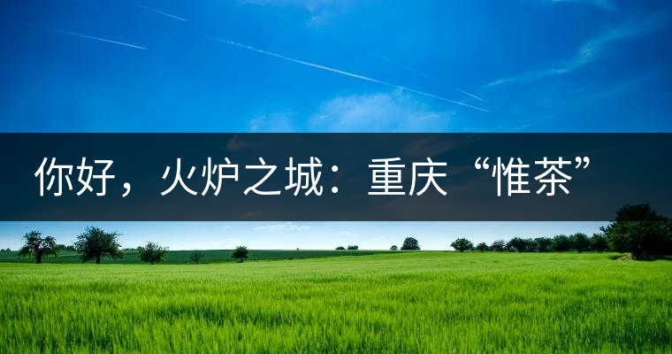 你好，火爐之城：重慶“惟茶”兩周年·易武茶會(huì)