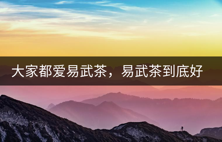 大家都愛易武茶，易武茶到底好在哪兒?大家都愛易武茶，易武茶到底好在哪兒？