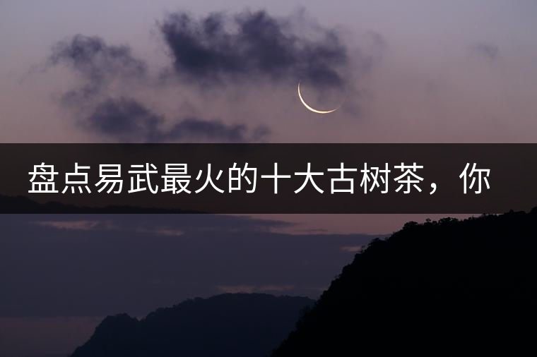 盤點易武最火的十大古樹茶，你喜歡哪款？