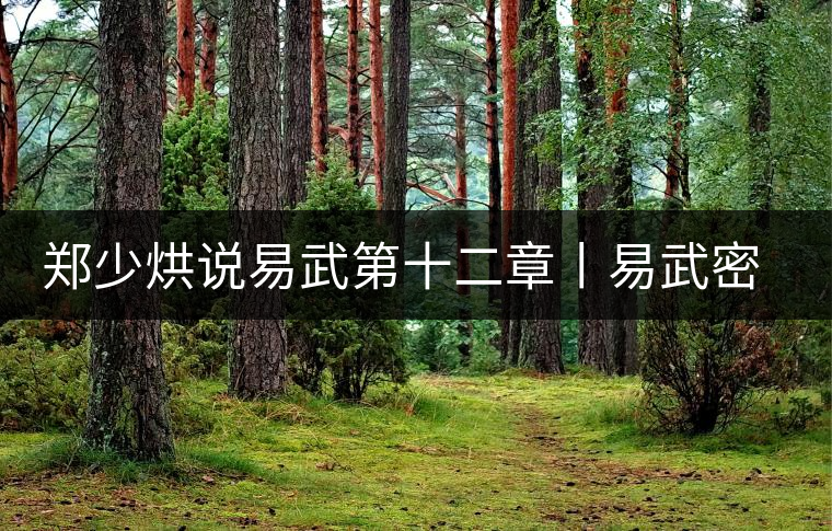 鄭少烘說易武第十二章丨易武密碼之九——如何捕捉易武生茶的口感 鄭少烘說易武第十二章丨易武密碼之九——如何捕捉易武生茶的口感