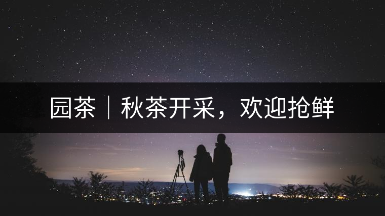 園茶｜秋茶開采，歡迎搶鮮