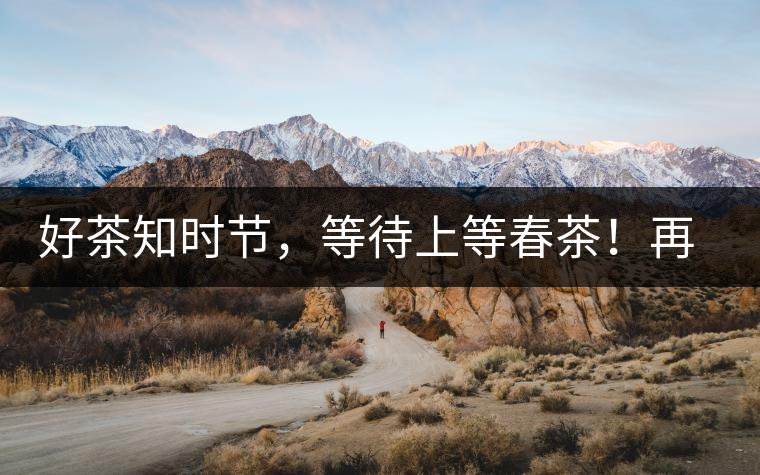 好茶知時(shí)節(jié)，等待上等春茶！再來回味這些年喝過的小戶賽古樹春茶