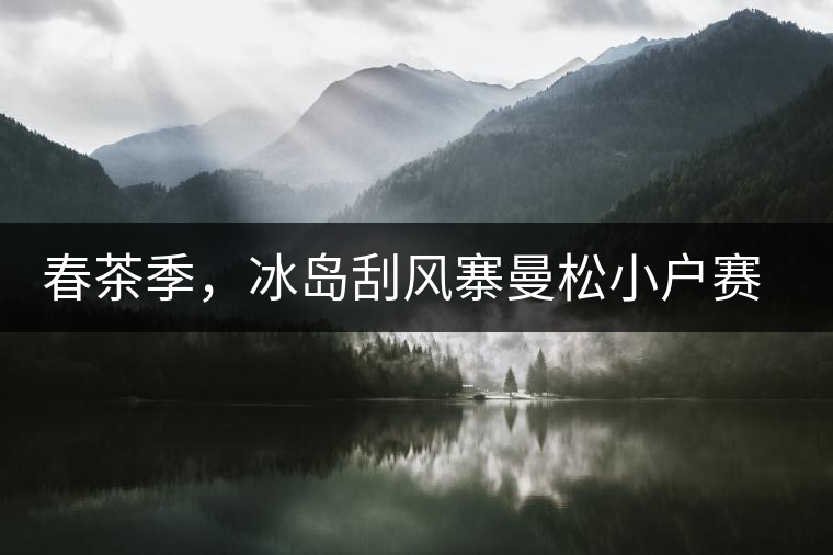 春茶季，冰島刮風(fēng)寨曼松小戶賽，頭春山頭茶等著你！
