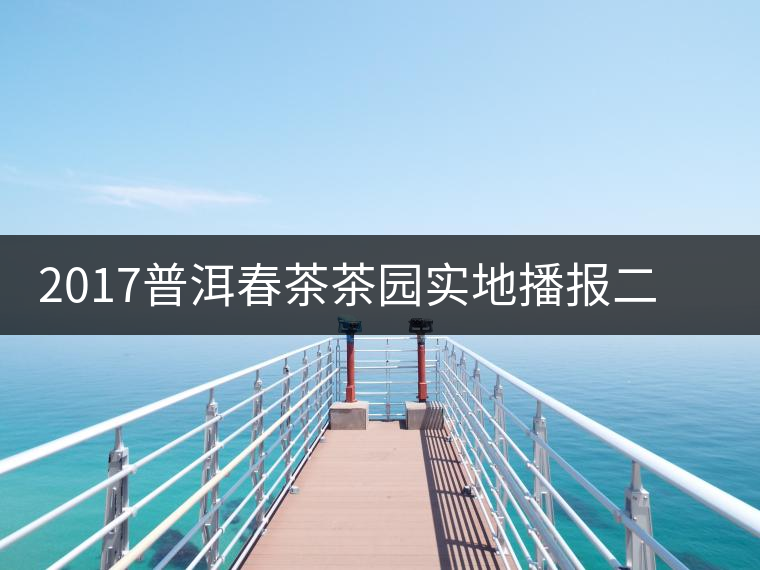 2017普洱春茶茶園實(shí)地播報(bào)二——臨倉(cāng)勐庫(kù)鎮(zhèn)小戶賽 2017普洱春茶茶園實(shí)地播報(bào)二——臨倉(cāng)勐庫(kù)鎮(zhèn)小戶賽