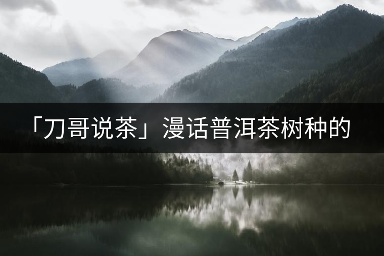 「刀哥說(shuō)茶」漫話(huà)普洱茶樹(shù)種的分類(lèi)