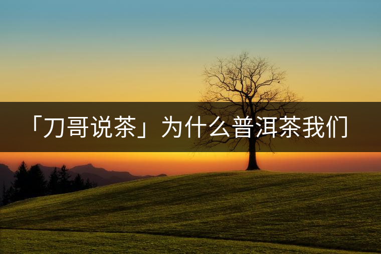 「刀哥說茶」為什么普洱茶我們情愿選三無？