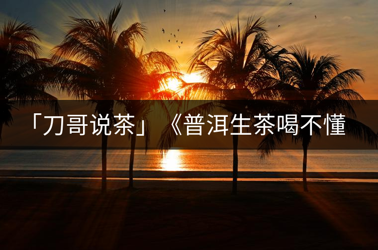 「刀哥說茶」《普洱生茶喝不懂定律》