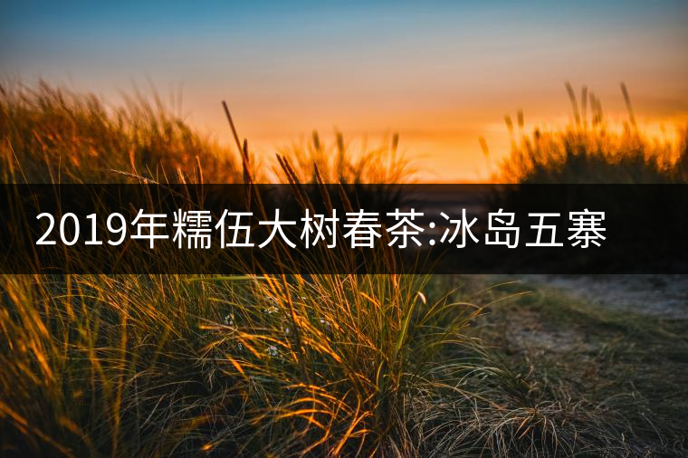 2019年糯伍大樹春茶:冰島五寨甜柔口感的代表，售價不...2019年糯伍大樹春茶：冰島五寨甜柔口感的代表，售價不到500