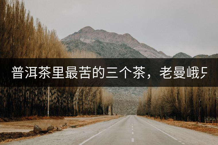 普洱茶里最苦的三個(gè)茶，老曼峨只能排第三！