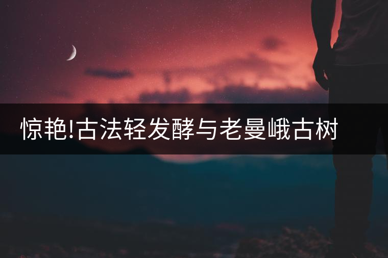 驚艷!古法輕發(fā)酵與老曼峨古樹(shù)料的完美結(jié)合驚艷！古法輕發(fā)酵與老曼峨古樹(shù)料的完美結(jié)合