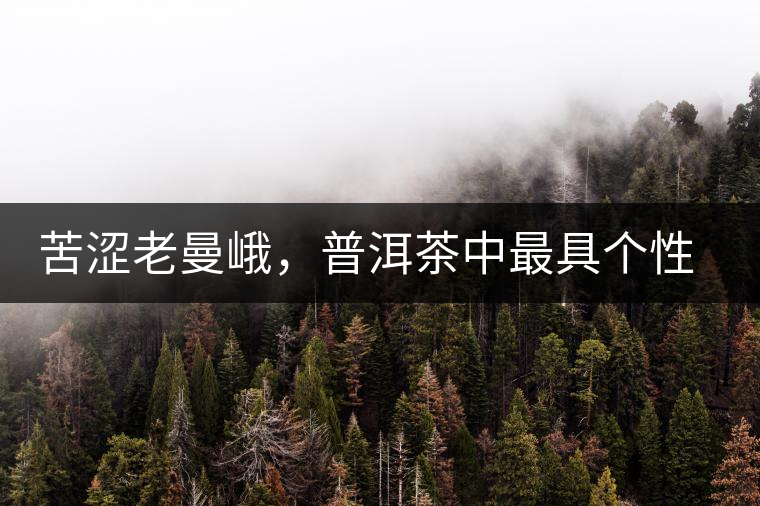 苦澀老曼峨，普洱茶中最具個(gè)性的“布朗味”苦澀老曼峨，普洱茶中最具個(gè)性的“布朗味”