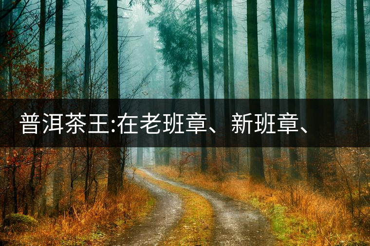 普洱茶王:在老班章、新班章、老曼峨之間普洱茶王：在老班章、新班章、老曼峨之間