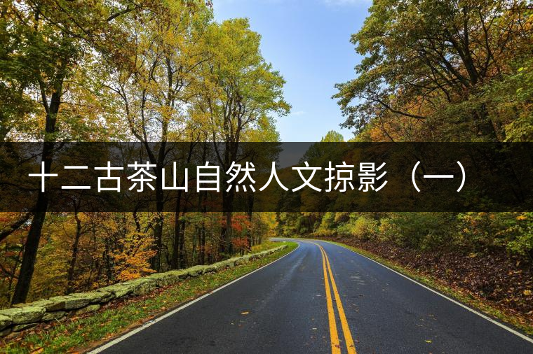 十二古茶山自然人文掠影（一）賀開(kāi)