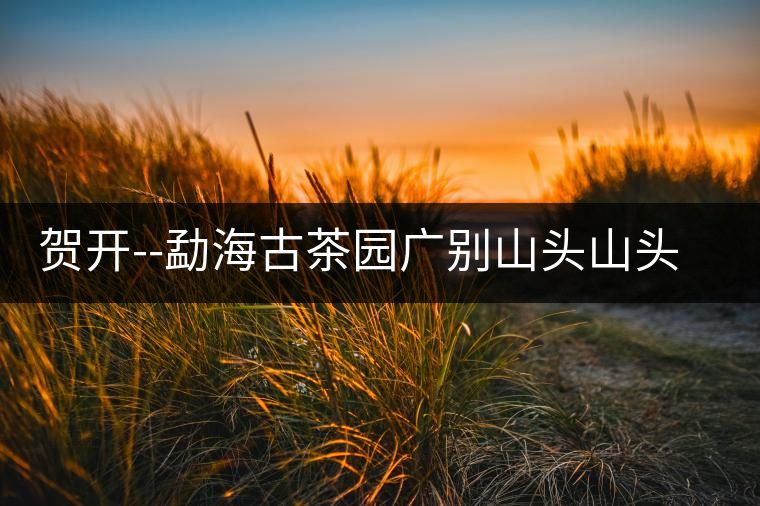 賀開--勐海古茶園廣別山頭山頭茶|德禪一稟茶百科賀開——勐海古茶園廣別山頭山頭茶｜德禪一稟茶百科