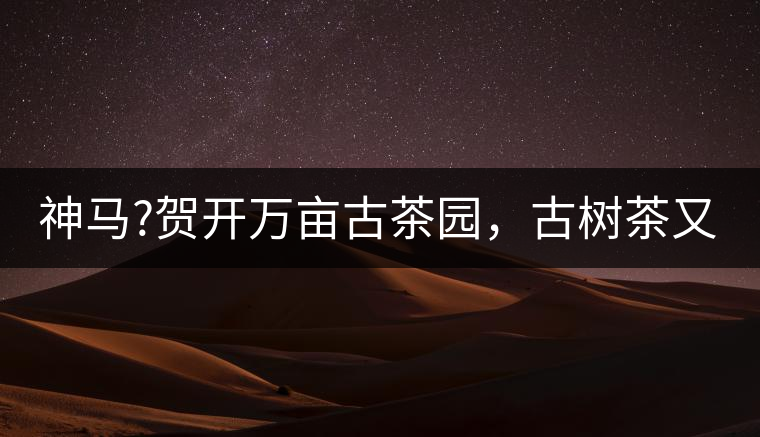 神馬?賀開萬畝古茶園，古樹茶又多又純又便宜!神馬？賀開萬畝古茶園，古樹茶又多又純又便宜！