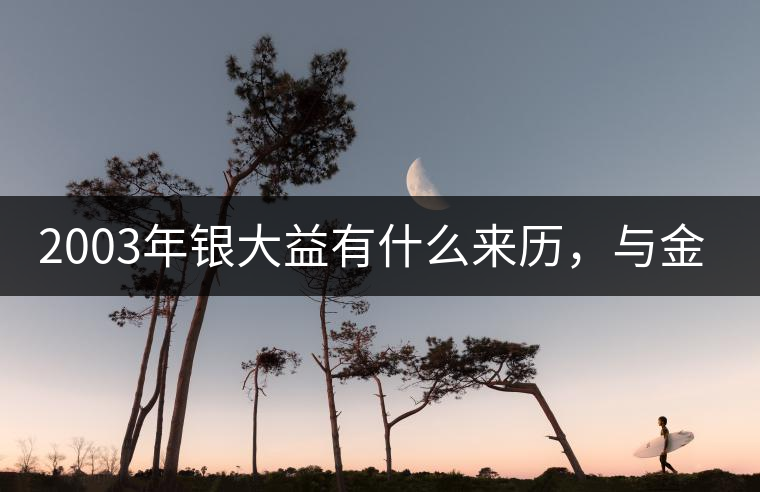 2003年銀大益有什么來歷，與金大益的關(guān)系是什么?2003年銀大益有什么來歷，與金大益的關(guān)系是什么？