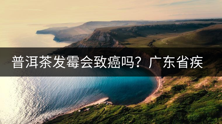 普洱茶發(fā)霉會致癌嗎？廣東省疾病預(yù)防控制中心檢測的結(jié)果是…