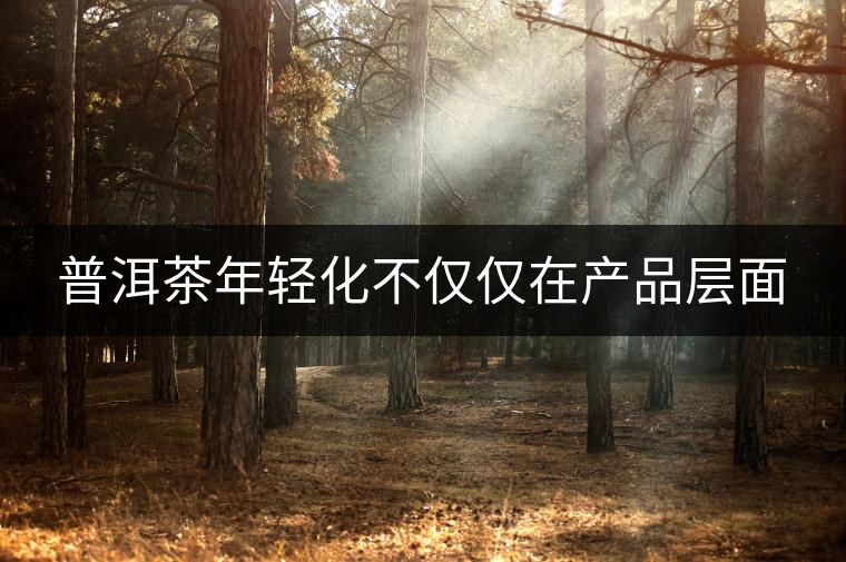普洱茶年輕化不僅僅在產(chǎn)品層面