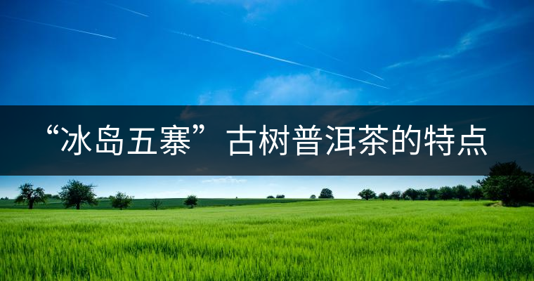 “冰島五寨”古樹普洱茶的特點及區(qū)別
