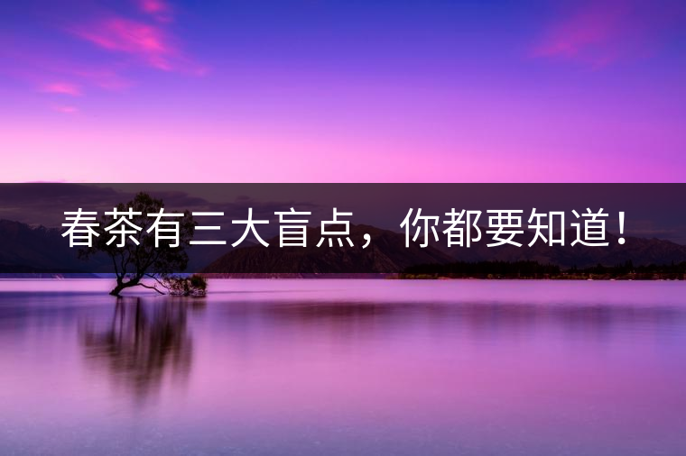 春茶有三大盲點，你都要知道！