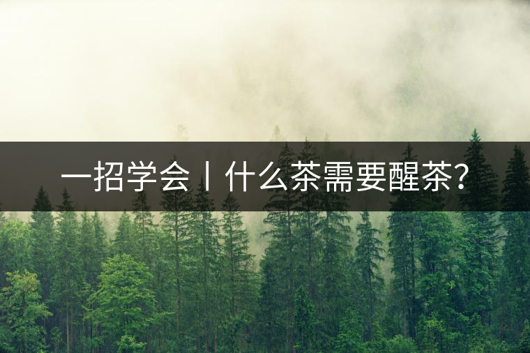 一招學會丨什么茶需要醒茶？