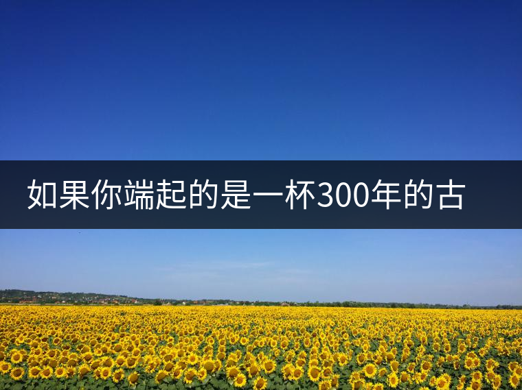 如果你端起的是一杯300年的古樹茶，那會是一種怎樣的心境？