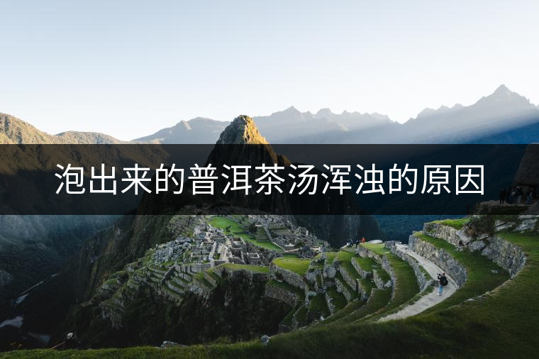 泡出來的普洱茶湯渾濁的原因