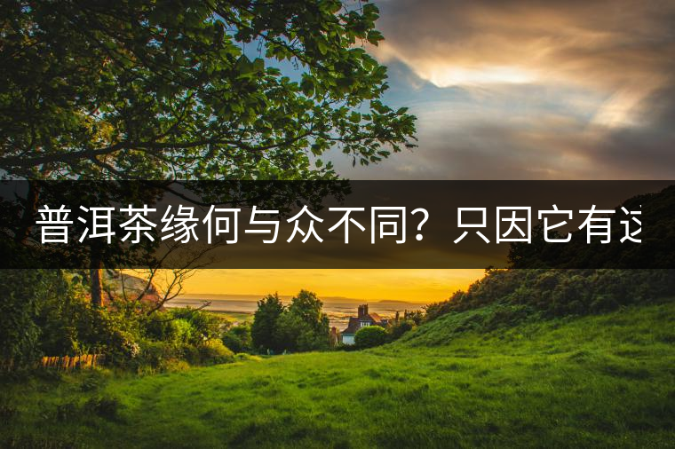 普洱茶緣何與眾不同？只因它有這5個(gè)“唯一”