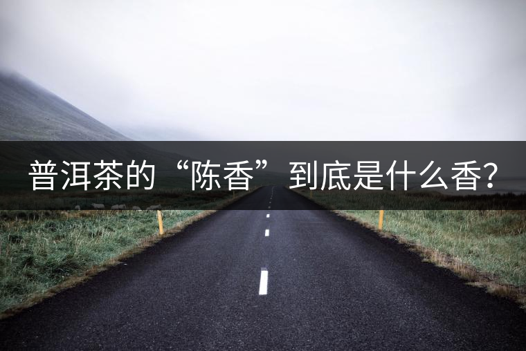 普洱茶的“陳香”到底是什么香？