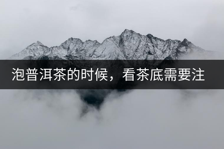 泡普洱茶的時(shí)候，看茶底需要注意什么？