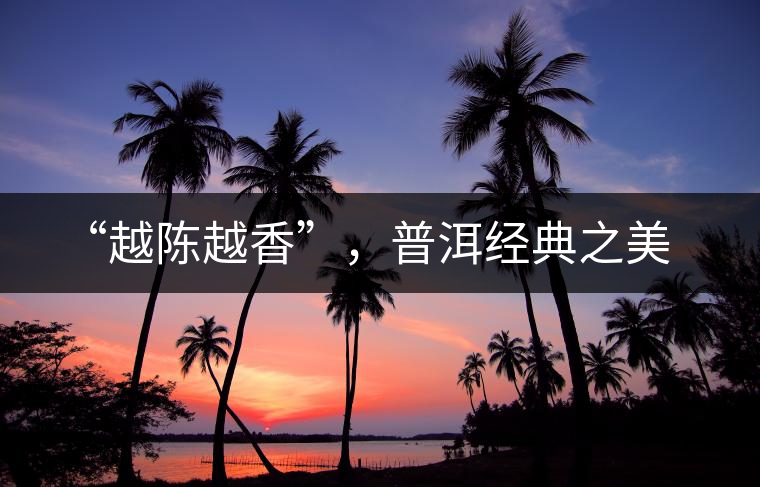 “越陳越香”，普洱經(jīng)典之美