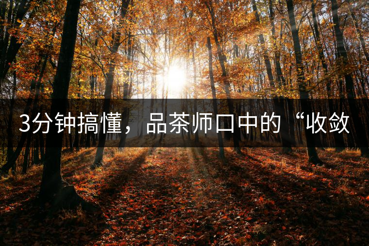 3分鐘搞懂，品茶師口中的“收斂性”到底是指什么？