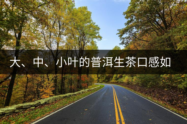 大、中、小葉的普洱生茶口感如何辨別？