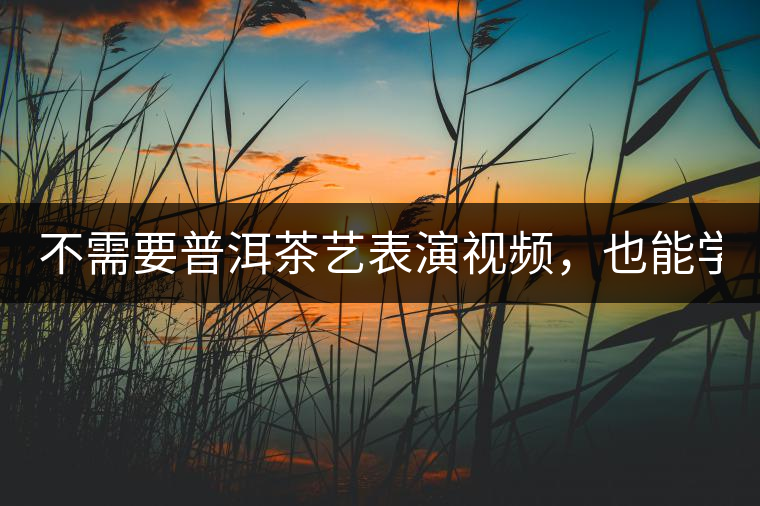 不需要普洱茶藝表演視頻，也能學會的茶藝！