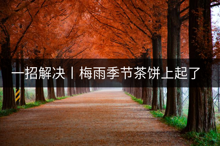 一招解決丨梅雨季節(jié)茶餅上起了白霜白點怎么辦？