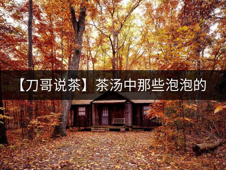 【刀哥說茶】茶湯中那些泡泡的始作俑者，茶皂素只是其中一個