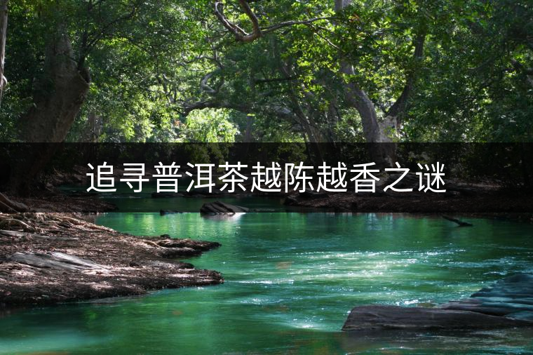 追尋普洱茶越陳越香之謎