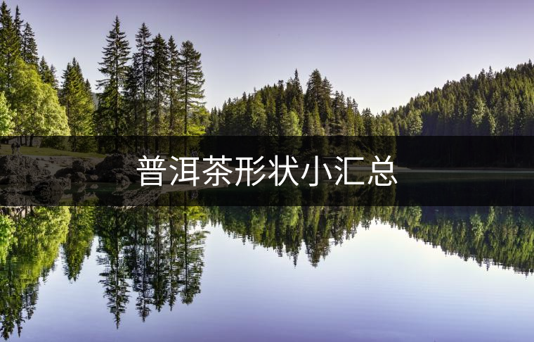 普洱茶形狀小匯總