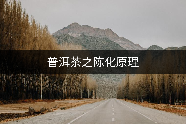 普洱茶之陳化原理