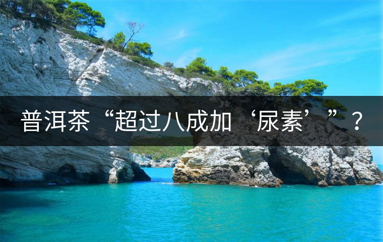 普洱茶“超過八成加‘尿素’”？