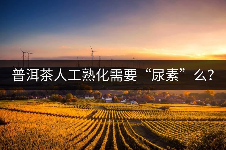 普洱茶人工熟化需要“尿素”么？