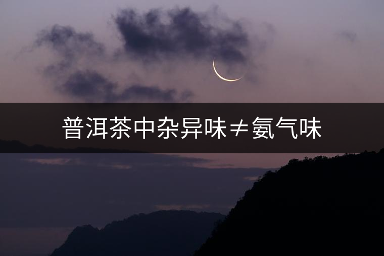 普洱茶中雜異味≠氨氣味