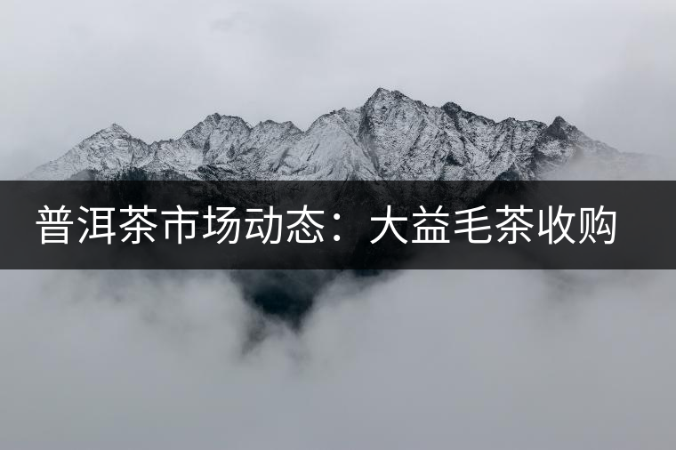 普洱茶市場(chǎng)動(dòng)態(tài)：大益毛茶收購(gòu)價(jià)跌兩成？